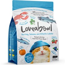 러비어볼 전연령 그레인프리 고양이 건식사료 청어 연어 랍스터, 1개, 1kg, 생선