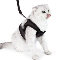 파스텔펫 고양이 메쉬 테이핑 하네스 세트, 블랙