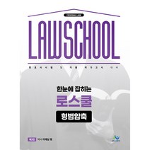 한눈에 잡히는 로스쿨 형법압축:변호사시험 및 각종 국가고시 대비, 윌비스
