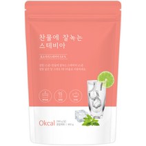 자연지애 찬물에 잘녹는 스테비아 설탕, 400g, 1개