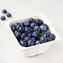 아주마 무농약 인증 영동 대왕 블루베리, 250g, 1개