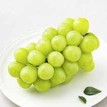 고당도 비파괴 당도선별 샤인머스캣, 600g, 1개