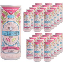 초정토닉워터 제로 홍매실 시소, 30개, 250ml