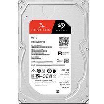 씨게이트 IronWolf Pro HDD, ST2000NT001, 2048GB