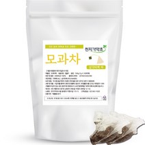 천지가약초 모과차 삼각티백, 1g, 100개입, 1개