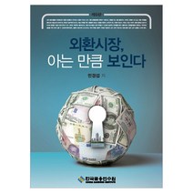 외환시장 아는 만큼 보인다, 한국금융연수원, 민경섭