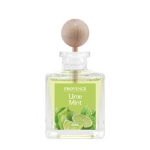 더허브샵 차량용 통풍구 디퓨저 40ml, 라임 민트