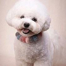 피카노리 반려동물 파티컬러폼폼이 케이프 L PECA6705McL, 5컬러, 1개