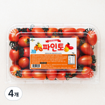 파인토 스테비아 대추방울토마토, 1kg, 4개