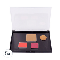 더분 자석 팔레트 S, 블랙, 5개
