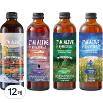 아임얼라이브 콤부차 유리병 315ml x 4종 세트, 12개