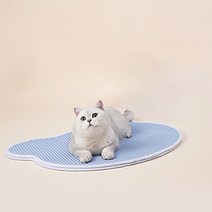 파스텔펫 고양이 벌집 화장실 모래매트, 타입B