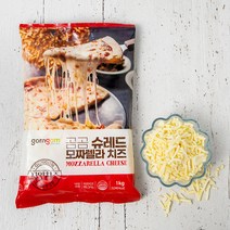 온클릭 스텐 치즈그레이터, 1개