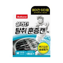 불스원 폴라패밀리 살라딘 에어컨 히터 탈취 훈증캔 민트향 본품, 65.8g, 1개