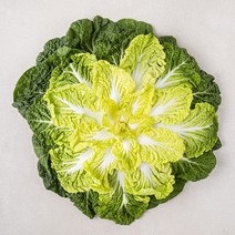 곰곰 국내산 봄동, 1봉, 500g