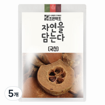 조은약초 자연을 담는다 프리미엄 모과, 600g, 5개, 5개