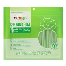 탐사 강아지 츄잉껌 500g, 애플민트, 1개