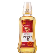 곰곰 아카시아 꿀, 500g, 1개