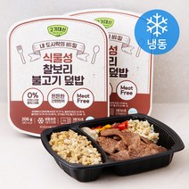 알티스트 고기대신 식물성 찰보리 불고기 덮밥 도시락 (냉동), 2팩, 206g