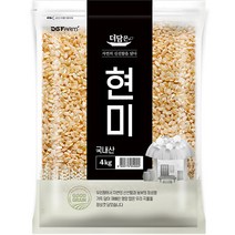 더담은 2022년산 햇곡 국산 현미, 1개, 4kg
