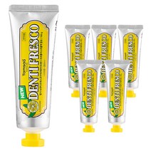탐사 뉴 덴티프레스코 레몬민트향 구취케어 치약, 100g, 6개