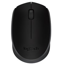 로지텍 무선 마우스 M170