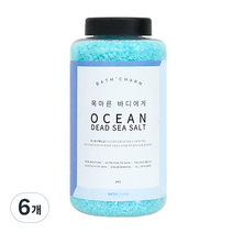 바스참 사해소금 오션 용기형, 1kg, 6개