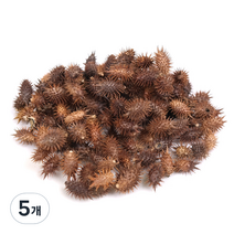 신선약초 도꼬마리 건강식품, 300g, 5개