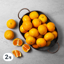 감귤농협 GAP 인증 하우스 감귤, 1.5kg, 2개
