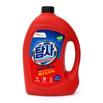 탐사 파워워시 액체세제, 2.5L, 1개