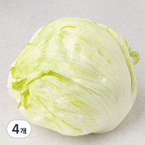 국내산 양상추, 1통, 4개