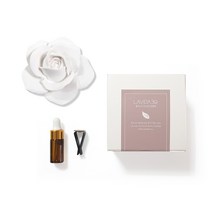 라비다39 리얼장미 대형 플라스터 오너먼트 석고방향제 + 차량용클립 + 리필오일 3ml 세트, 라일락
