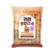 현대농산 귀리혼합21곡, 2kg, 1개