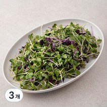 국내산 친환경 어린잎 채소믹스, 200g, 3개