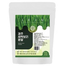 바른건강 새싹보리 분말, 300g, 1개