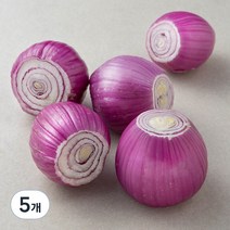 국내산 자색 깐양파, 1kg, 5개