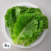 국내산 친환경 청상추, 200g, 4개