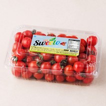 대추방울토마토2kg 구매 관련 사이트 모음
