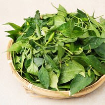 국내산 생고추잎, 300g, 1개