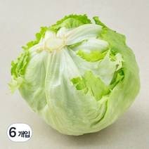 GAP인증 양상추, 2개입, 3개