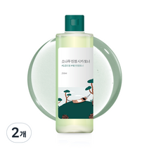 라운드랩 소나무 진정 시카 토너, 2개, 250ml