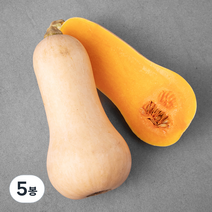 국내산 땅콩호박, 500g, 5봉