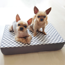 까씨네 반려동물 디딤대 계단 1단, 그레이사각