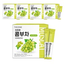 더존건강 더조은 콤부차 샤인머스켓, 5g, 30개입, 5개