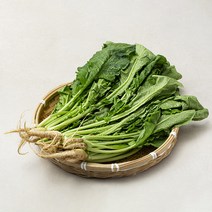 국내산 열무, 900g, 1개