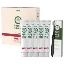 닥터버들 시린이케어 치약 130g x 5p + 이중미세모 칫솔 블랙 세트, 1세트