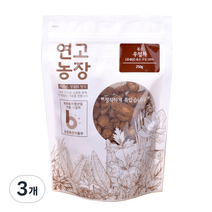 연고농장 국내산 볶은 우엉차, 250g, 3개, 3개