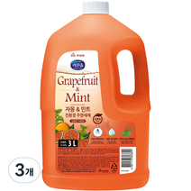 자몽 앤 민트 친환경 주방세제, 3L, 3개