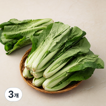 국내산 얼갈이, 800g, 3개