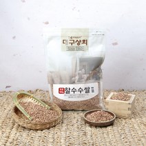 인기 있는 영월수수쌀 인기 순위 TOP50 상품을 발견하세요